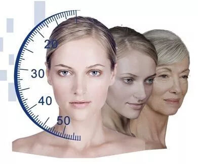 ͼƬ2.png