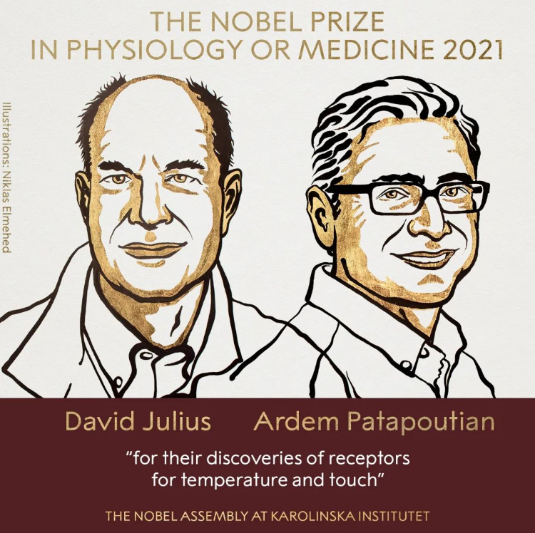 ΢Žͼ_20211008092202.png