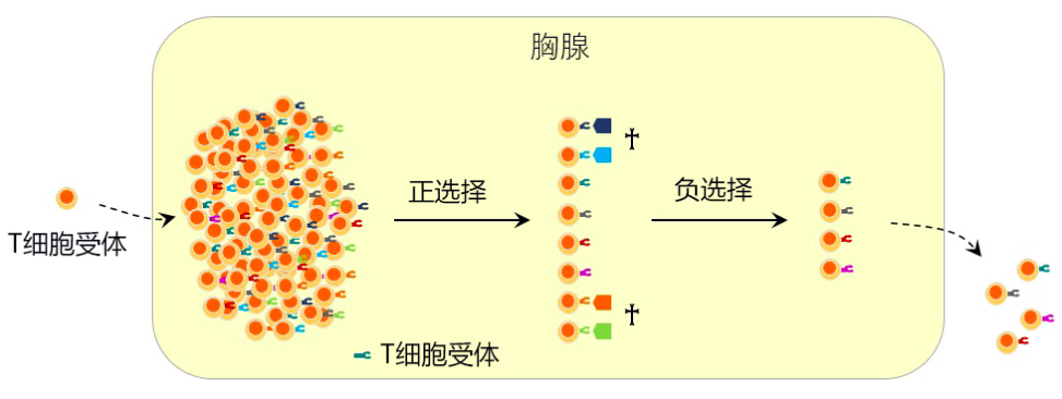 ΢Žͼ_20211224124604.png